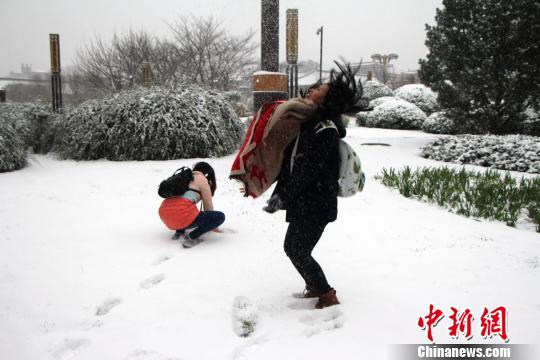 圖為在雪地中嬉戲?!∶疯O瀧 攝
